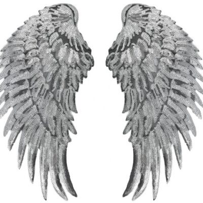 Zdjęcie profilowe Silver Wings